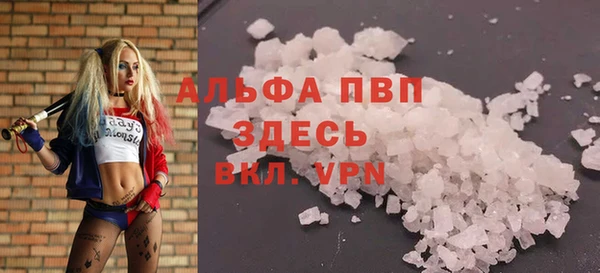 СК Протвино