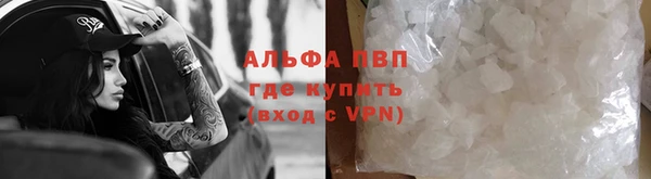 СК Протвино